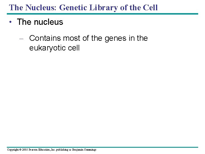The Nucleus: Genetic Library of the Cell • The nucleus – Contains most of The Nucleus: Genetic Library of the Cell • The nucleus – Contains most of