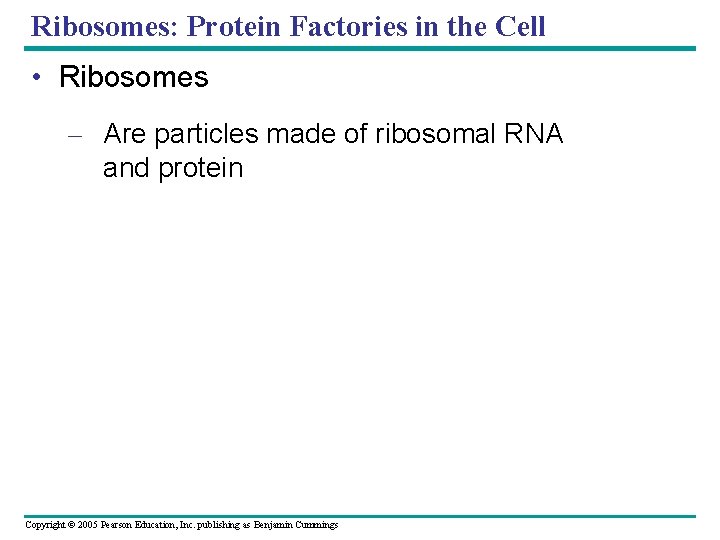 Ribosomes: Protein Factories in the Cell • Ribosomes – Are particles made of ribosomal Ribosomes: Protein Factories in the Cell • Ribosomes – Are particles made of ribosomal