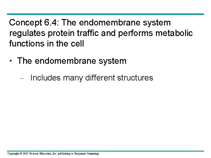 Concept 6. 4: The endomembrane system regulates protein traffic and performs metabolic functions in Concept 6. 4: The endomembrane system regulates protein traffic and performs metabolic functions in