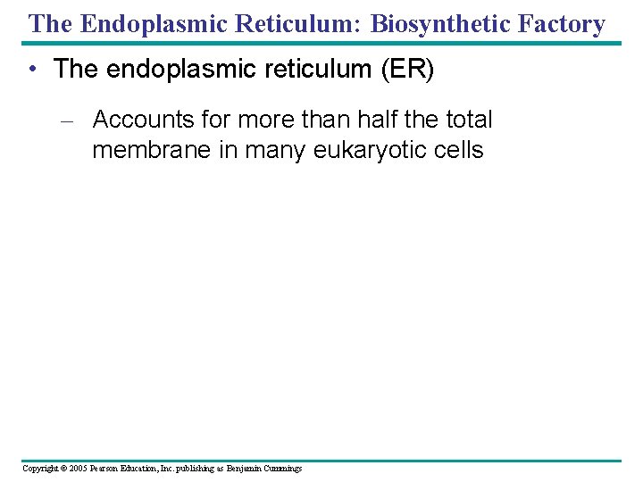 The Endoplasmic Reticulum: Biosynthetic Factory • The endoplasmic reticulum (ER) – Accounts for more The Endoplasmic Reticulum: Biosynthetic Factory • The endoplasmic reticulum (ER) – Accounts for more