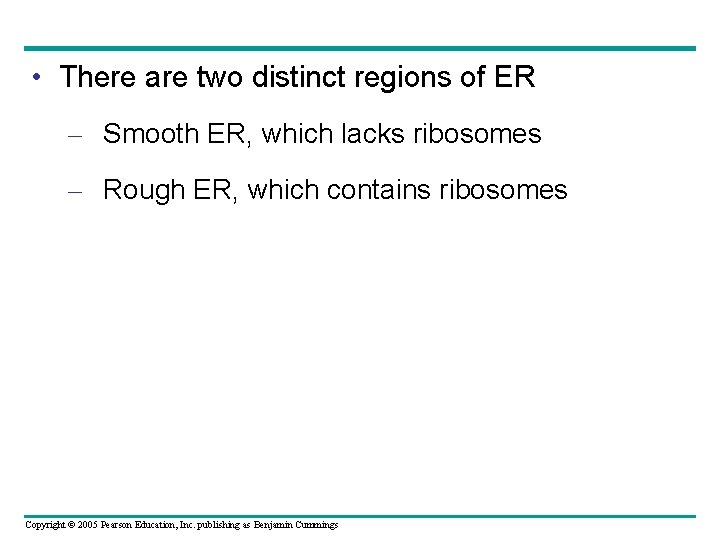 • There are two distinct regions of ER – Smooth ER, which lacks • There are two distinct regions of ER – Smooth ER, which lacks