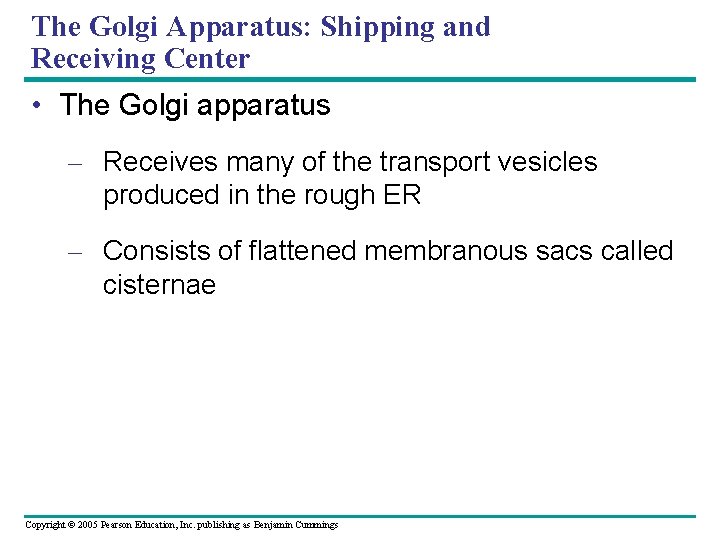 The Golgi Apparatus: Shipping and Receiving Center • The Golgi apparatus – Receives many The Golgi Apparatus: Shipping and Receiving Center • The Golgi apparatus – Receives many