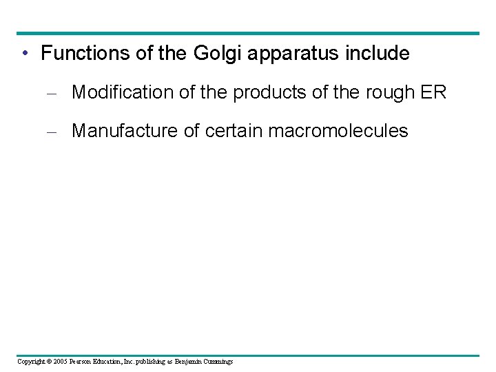 • Functions of the Golgi apparatus include – Modification of the products of • Functions of the Golgi apparatus include – Modification of the products of