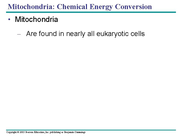 Mitochondria: Chemical Energy Conversion • Mitochondria – Are found in nearly all eukaryotic cells Mitochondria: Chemical Energy Conversion • Mitochondria – Are found in nearly all eukaryotic cells