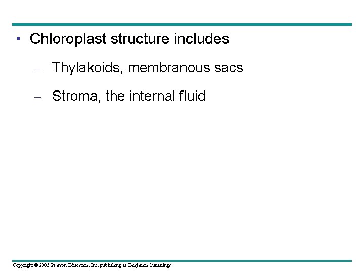 • Chloroplast structure includes – Thylakoids, membranous sacs – Stroma, the internal fluid • Chloroplast structure includes – Thylakoids, membranous sacs – Stroma, the internal fluid