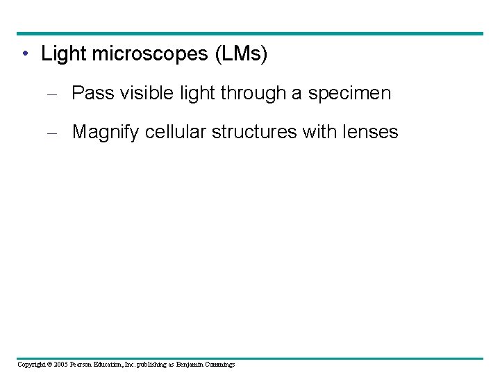 • Light microscopes (LMs) – Pass visible light through a specimen – Magnify • Light microscopes (LMs) – Pass visible light through a specimen – Magnify