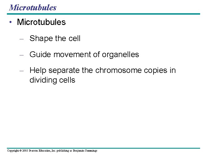 Microtubules • Microtubules – Shape the cell – Guide movement of organelles – Help Microtubules • Microtubules – Shape the cell – Guide movement of organelles – Help