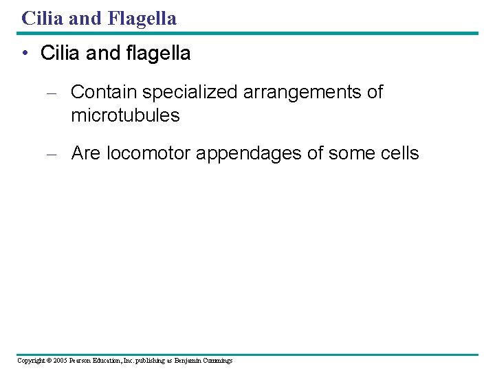 Cilia and Flagella • Cilia and flagella – Contain specialized arrangements of microtubules – Cilia and Flagella • Cilia and flagella – Contain specialized arrangements of microtubules –