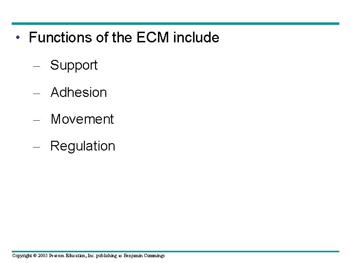 • Functions of the ECM include – Support – Adhesion – Movement – • Functions of the ECM include – Support – Adhesion – Movement –