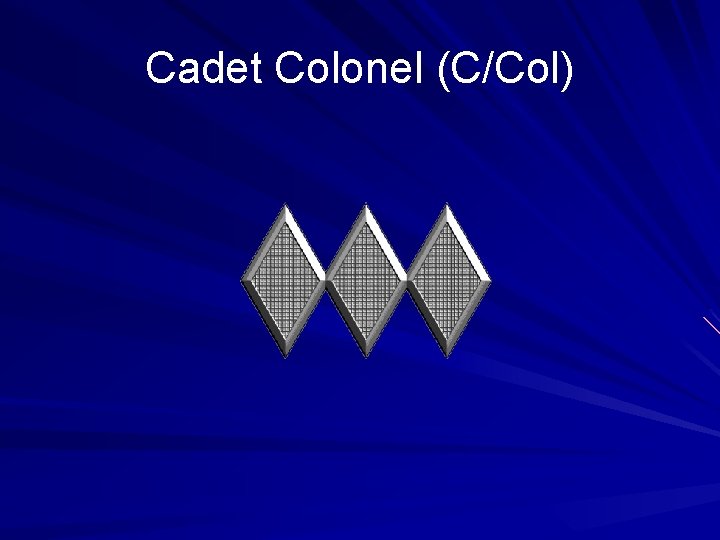 Cadet Colonel (C/Col) 