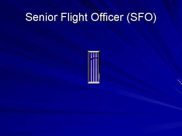 Senior Flight Officer (SFO) 