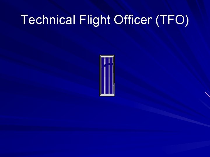 Technical Flight Officer (TFO) 