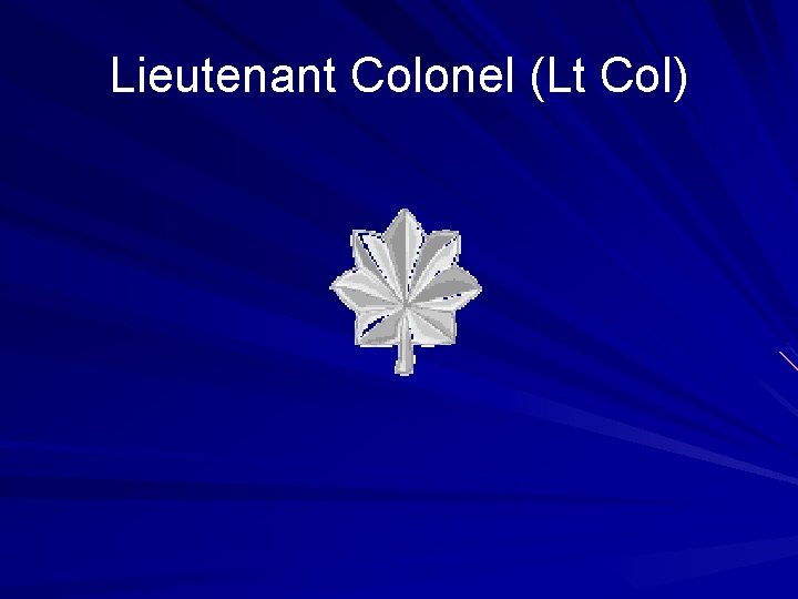Lieutenant Colonel (Lt Col) 