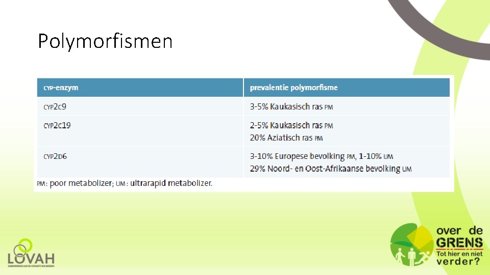 Polymorfismen 