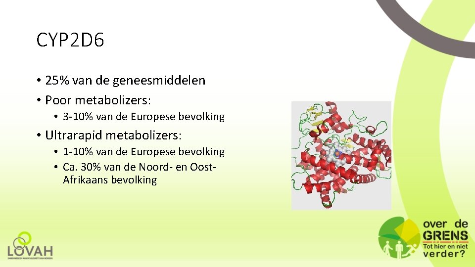 CYP 2 D 6 • 25% van de geneesmiddelen • Poor metabolizers: • 3