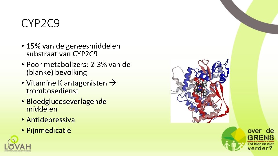 CYP 2 C 9 • 15% van de geneesmiddelen substraat van CYP 2 C