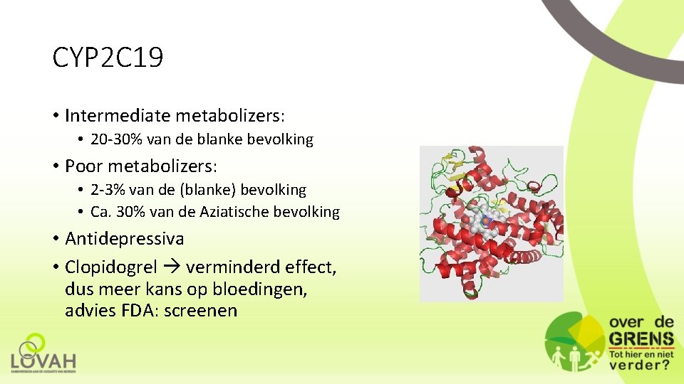 CYP 2 C 19 • Intermediate metabolizers: • 20 -30% van de blanke bevolking