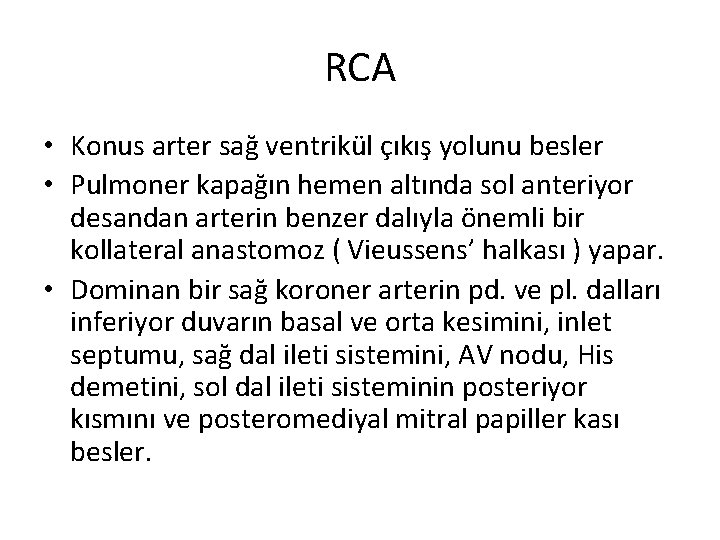 RCA • Konus arter sağ ventrikül çıkış yolunu besler • Pulmoner kapağın hemen altında