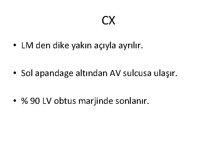 CX • LM den dike yakın açıyla ayrılır. • Sol apandage altından AV sulcusa