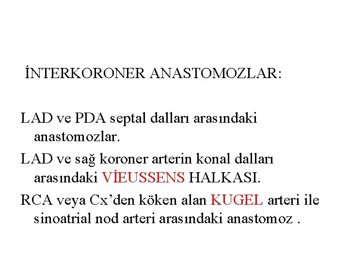 İNTERKORONER ANASTOMOZLAR: LAD ve PDA septal dalları arasındaki anastomozlar. LAD ve sağ koroner arterin