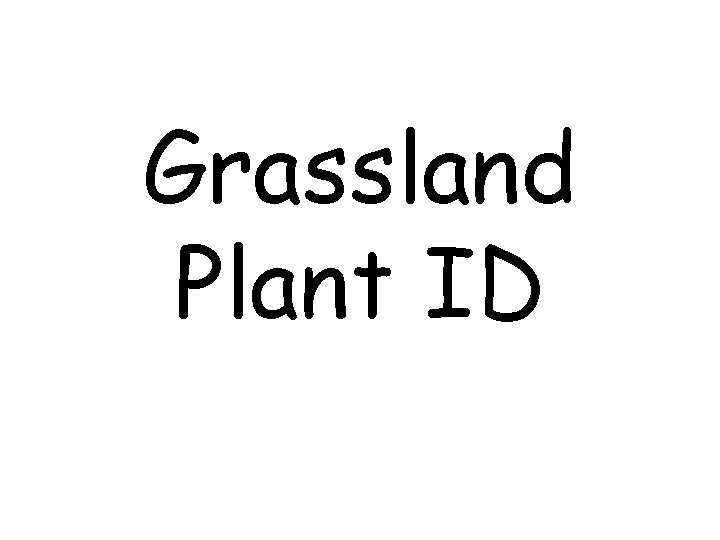 Grassland Plant ID 
