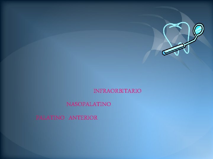 INFRAORBITARIO NASOPALATINO ANTERIOR 