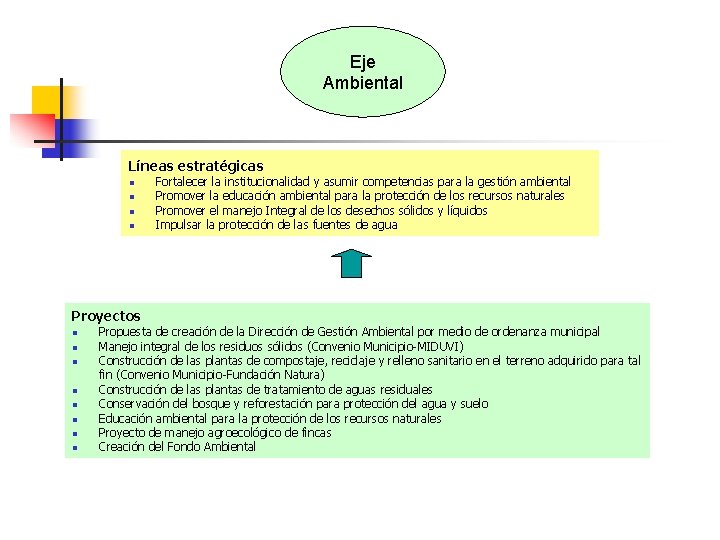 Eje Ambiental Líneas estratégicas n n Proyectos n n n n Fortalecer la institucionalidad