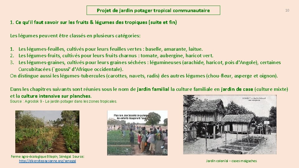 Projet de jardin potager tropical communautaire 10 1. Ce qu’il faut savoir sur les