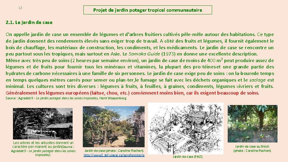 12 Projet de jardin potager tropical communautaire 2. 1. Le jardin de case On