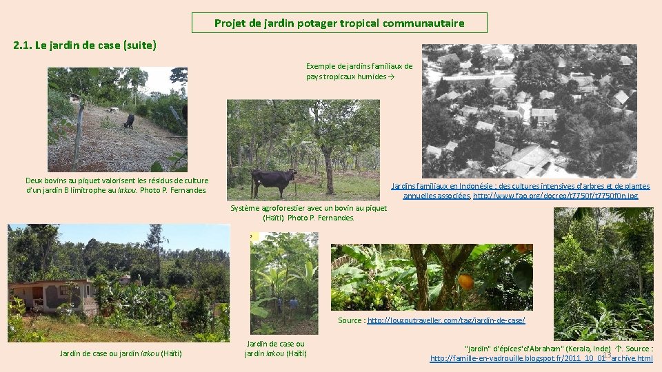 Projet de jardin potager tropical communautaire 2. 1. Le jardin de case (suite) Exemple