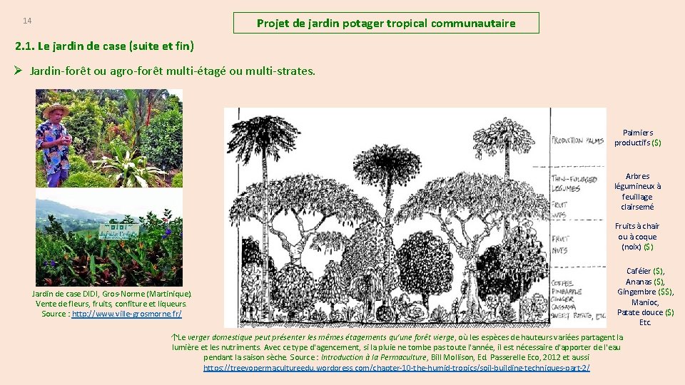 Projet de jardin potager tropical communautaire 14 2. 1. Le jardin de case (suite
