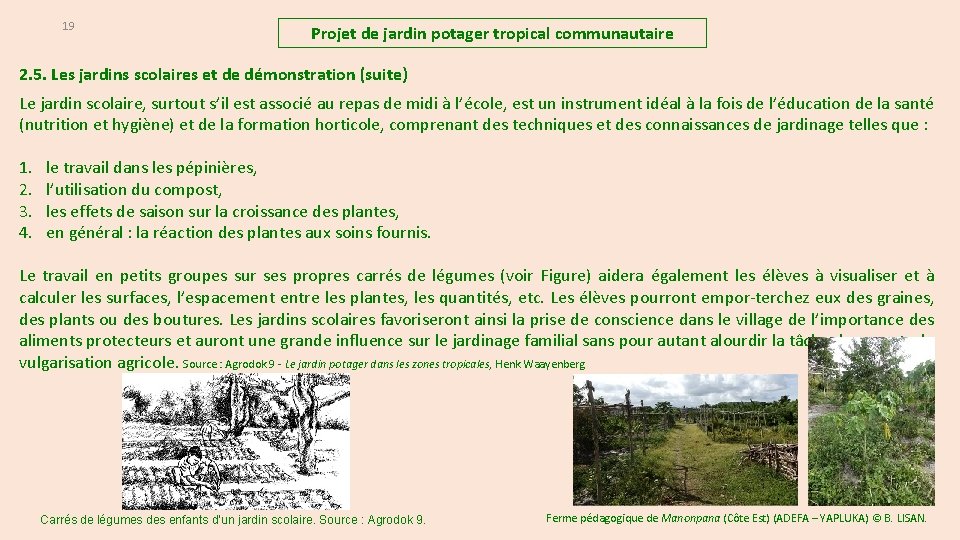 19 Projet de jardin potager tropical communautaire 2. 5. Les jardins scolaires et de