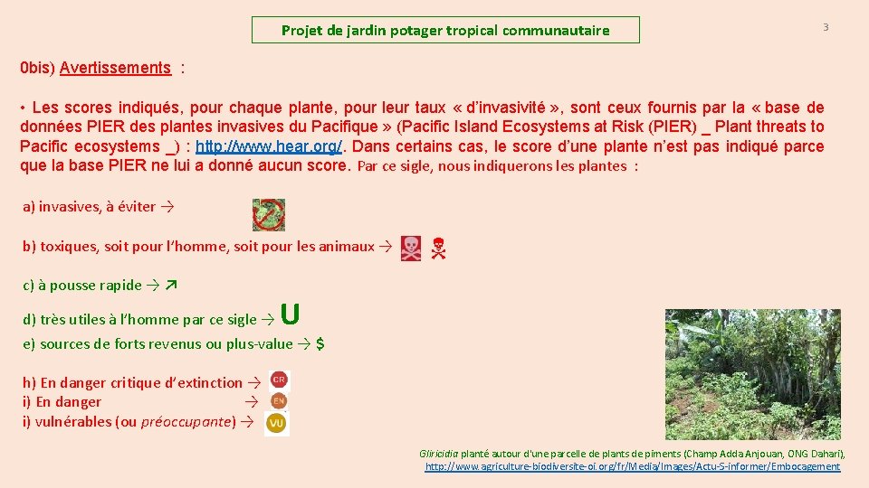 Projet de jardin potager tropical communautaire 3 0 bis) Avertissements : • Les scores