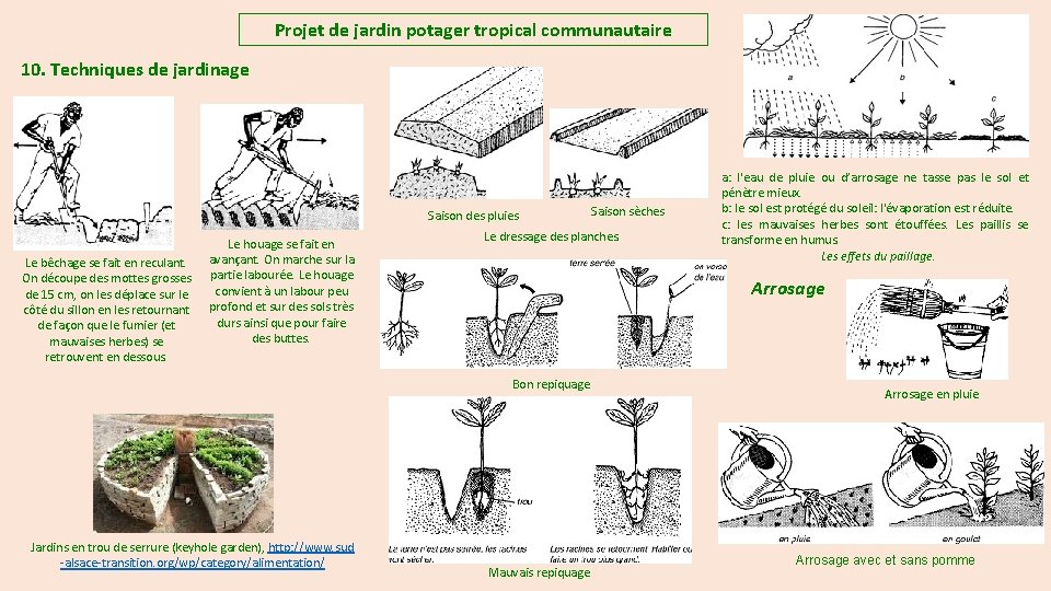 Projet de jardin potager tropical communautaire 10. Techniques de jardinage Saison des pluies Le