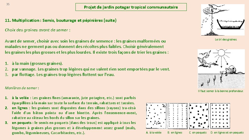 35 Projet de jardin potager tropical communautaire 11. Multiplication : Semis, bouturage et pépinières