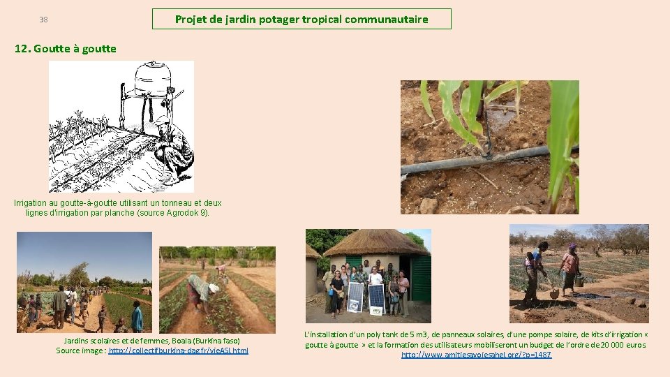 Projet de jardin potager tropical communautaire 38 12. Goutte à goutte Irrigation au goutte