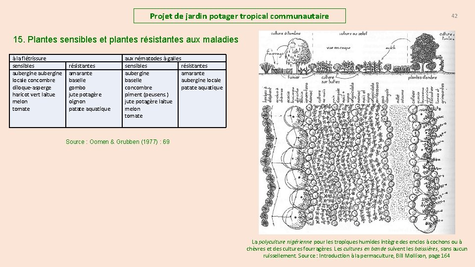 Projet de jardin potager tropical communautaire 42 15. Plantes sensibles et plantes résistantes aux