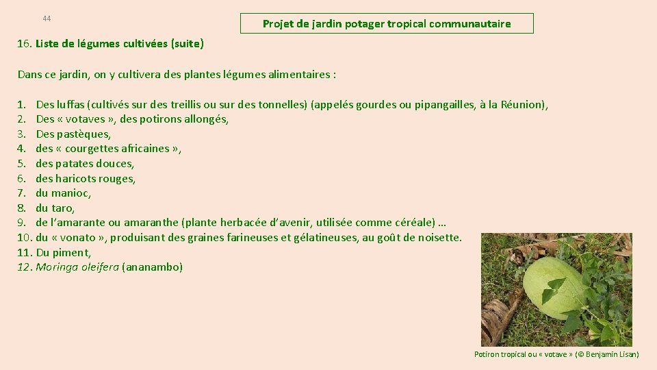44 Projet de jardin potager tropical communautaire 16. Liste de légumes cultivées (suite) Dans