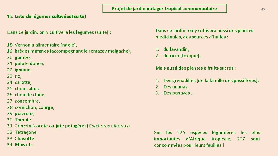 Projet de jardin potager tropical communautaire 16. Liste de légumes cultivées (suite) Dans ce