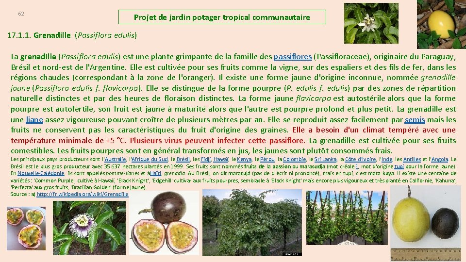 62 Projet de jardin potager tropical communautaire 17. 1. 1. Grenadille (Passiflora edulis) La