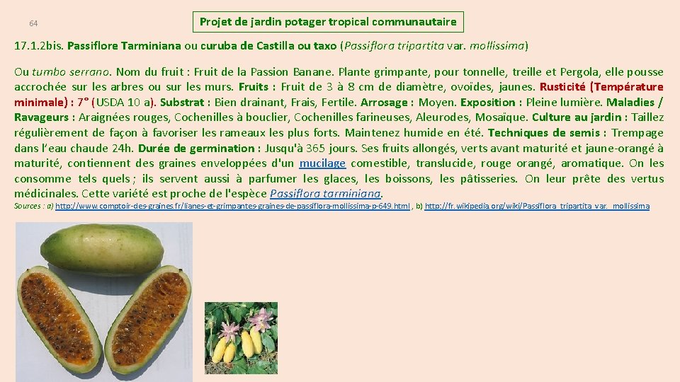 64 Projet de jardin potager tropical communautaire 17. 1. 2 bis. Passiflore Tarminiana ou
