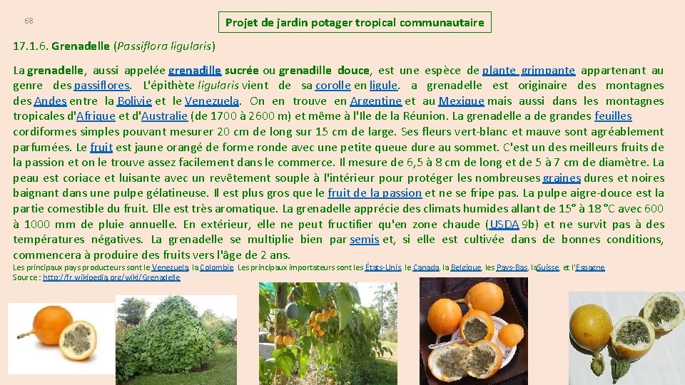 68 Projet de jardin potager tropical communautaire 17. 1. 6. Grenadelle (Passiflora ligularis) La