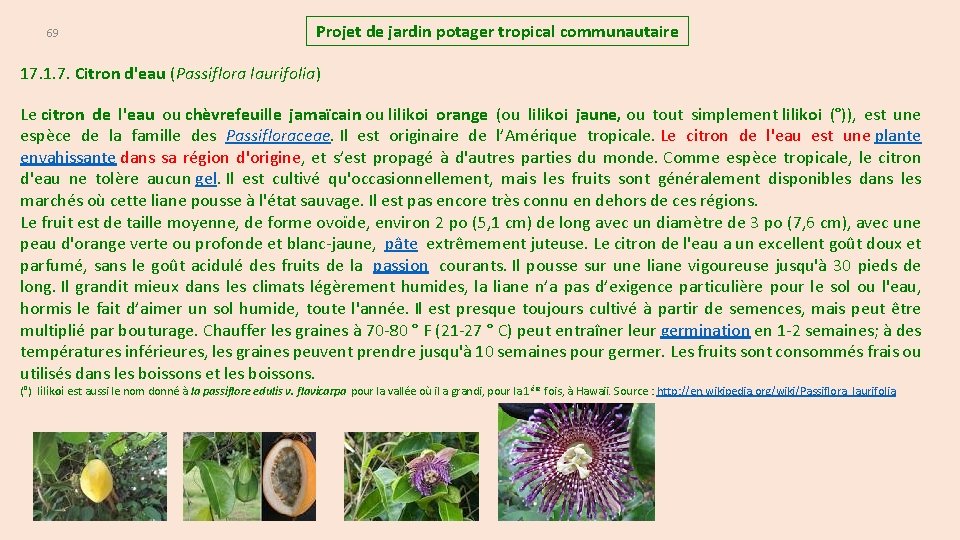 69 Projet de jardin potager tropical communautaire 17. 1. 7. Citron d'eau (Passiflora laurifolia)