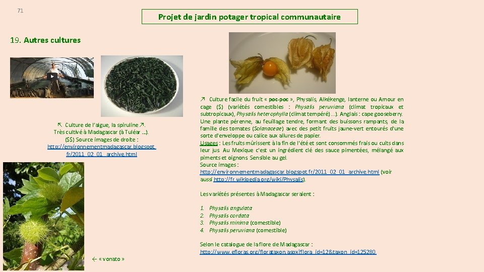 71 Projet de jardin potager tropical communautaire 19. Autres cultures ↖ Culture de l’algue,