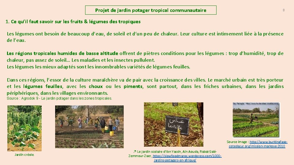 Projet de jardin potager tropical communautaire 8 1. Ce qu’il faut savoir sur les