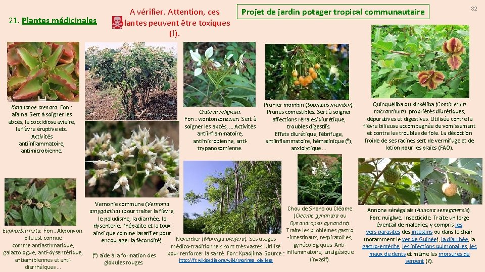 21. Plantes médicinales A vérifier. Attention, ces plantes peuvent être toxiques (!). Projet de