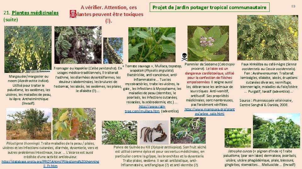 21. Plantes médicinales (suite) A vérifier. Attention, ces plantes peuvent être toxiques (!). Projet