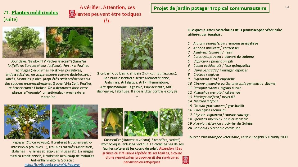 21. Plantes médicinales (suite) A vérifier. Attention, ces plantes peuvent être toxiques (!). Projet