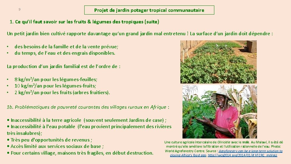 9 Projet de jardin potager tropical communautaire 1. Ce qu’il faut savoir sur les