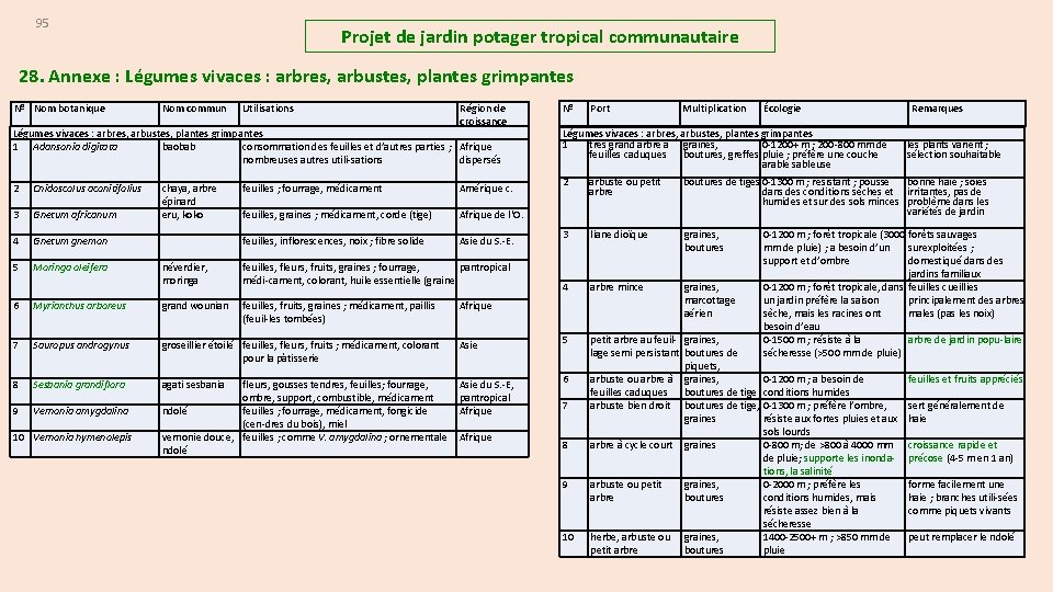 95 Projet de jardin potager tropical communautaire 28. Annexe : Légumes vivaces : arbres,